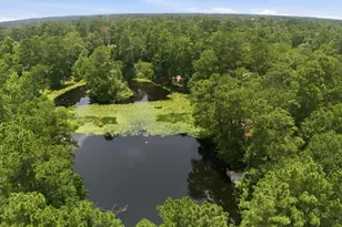 223 Pin Oak Ln, Magnolia, TX 77354 - Photo 45