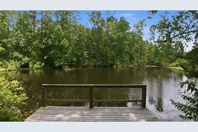 223 Pin Oak Lane, Magnolia, TX 77354 - Photo 43