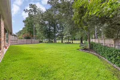 20660 Lavone Drive, Porter, TX 77365 - Photo 35