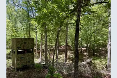 629 Acr 1215, Grapeland, TX 75844 - Photo 25