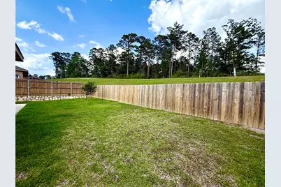 934 Golden Willow Lane, Conroe, TX 77304 - Photo 29