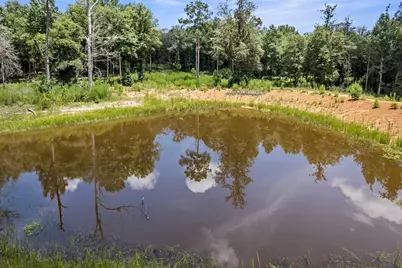 1111 County Road 4370, Woodville, TX 75979 - Photo 45