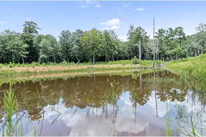 1111 County Road 4370, Woodville, TX 75979 - Photo 33