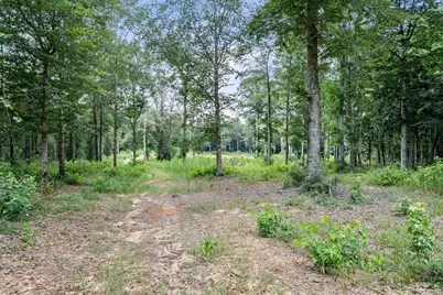 1111 County Road 4370, Woodville, TX 75979 - Photo 39