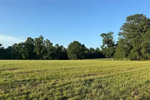 Tbd 24 Ac Johnson Rd, Montgomery, TX 77356 - Photo 7