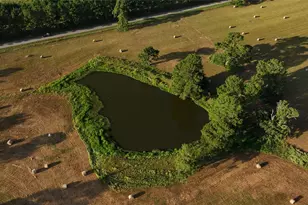 Tbd 24 Ac Johnson Rd, Montgomery, TX 77356 - Photo 21