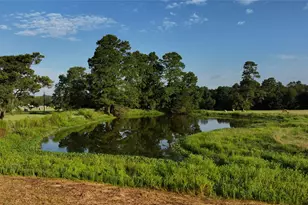 Tbd 24 Ac Johnson Rd, Montgomery, TX 77356 - Photo 25