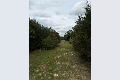 3231 Cr 427, Marquez, TX 77865 - Photo 37