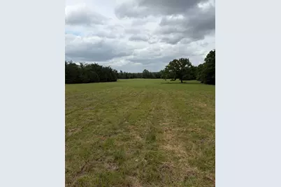 3231 Cr 427, Marquez, TX 77865 - Photo 41