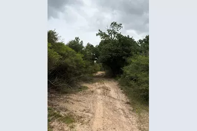 3231 Cr 427, Marquez, TX 77865 - Photo 33