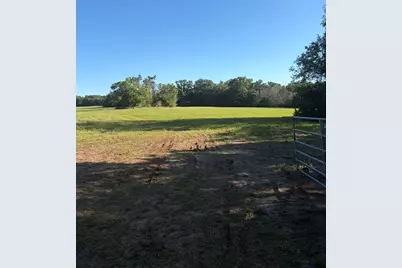 3231 Cr 427, Marquez, TX 77865 - Photo 3