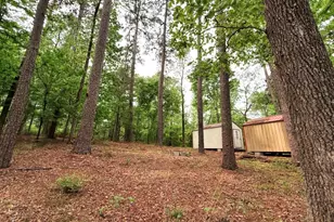 Tbd Lakeshore Point, Livingston, TX 77351 - Photo 1