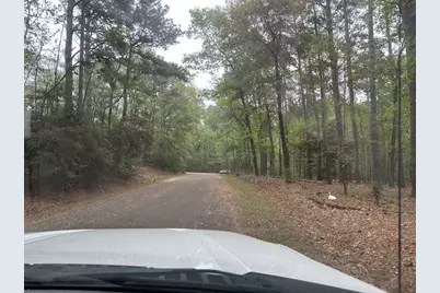 170 Altwood Drive, Coldspring, TX 77331 - Photo 11