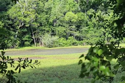 12789 E County Road 112, Centerville, TX 75833 - Photo 13