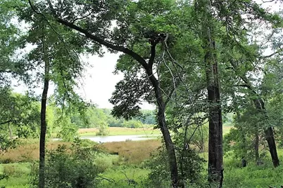 12789 E County Road 112, Centerville, TX 75833 - Photo 9