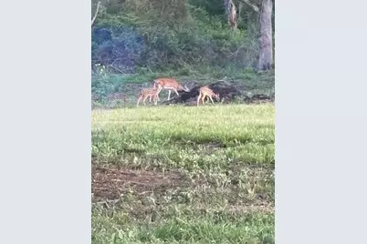 725 Private Road 1581, Hallettsville, TX 77964 - Photo 33