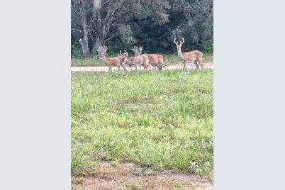 725 Private Road 1581, Hallettsville, TX 77964 - Photo 27