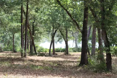 Tract 160 Private Road 1311, Centerville, TX 75833 - Photo 15