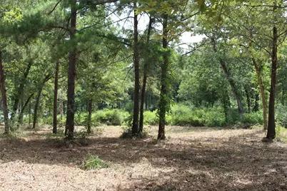 Tract 160 Private Road 1311, Centerville, TX 75833 - Photo 17