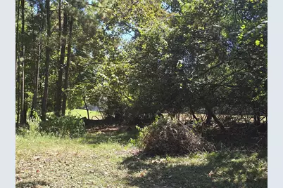 13431 Cherry Hill Circle, Montgomery, TX 77356 - Photo 5