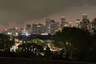 3502 Saltus St, Houston, TX 77003 - Photo 29