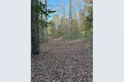 2511 County Road 4280, Woodville, TX 75979 - Photo 7