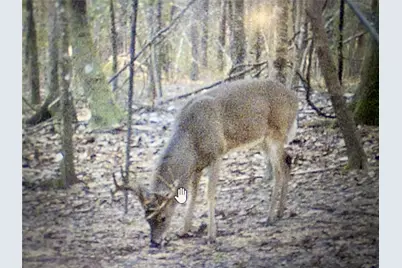 2511 County Road 4280, Woodville, TX 75979 - Photo 27