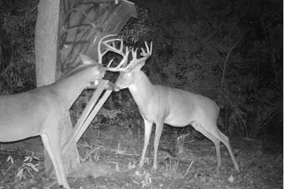 2511 County Road 4280, Woodville, TX 75979 - Photo 23