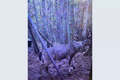 2511 County Road 4280, Woodville, TX 75979 - Photo 21