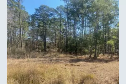 1513 Cheyenne Loop, Conroe, TX 77316 - Photo 5