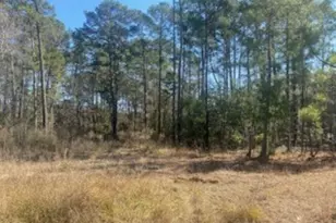 1513 Cheyenne Loop, Conroe, TX 77316 - Photo 5