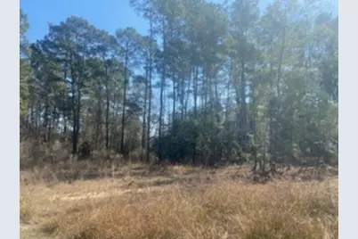 1513 Cheyenne Loop, Conroe, TX 77316 - Photo 3