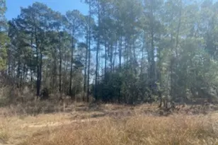 1513 Cheyenne Loop, Conroe, TX 77316 - Photo 3