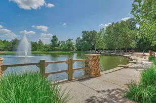 30 Shaded Arbor Dr, Spring, TX 77389 - Photo 41