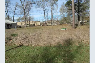 50 Hidden Oaks, Point Blank, TX 77364 - Photo 3