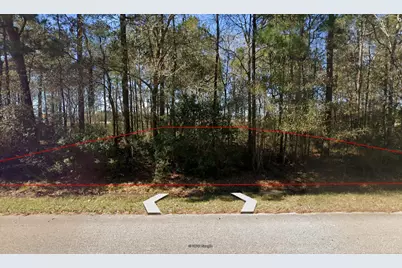 000 Dogwood Lane, Houston, TX 77339 - Photo 3