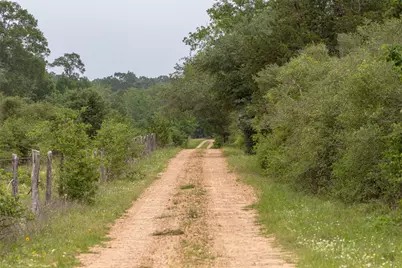 Tbd Fm 1094, New Ulm, TX 78950 - Photo 25