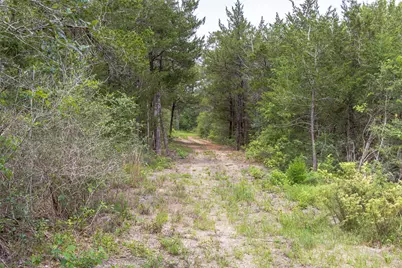 Tbd Fm 1094, New Ulm, TX 78950 - Photo 17