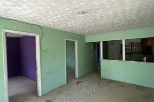 642 E 1st St, Sullivan City, TX 78572 - Photo 5