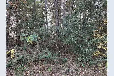 Tbd Gary Court, Livingston, TX 77351 - Photo 3