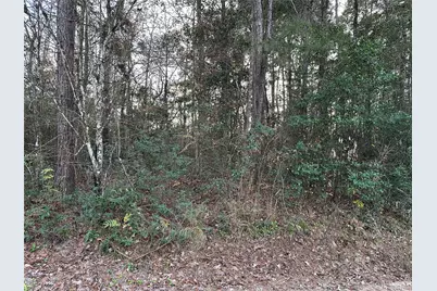 Tbd Gary Court, Livingston, TX 77351 - Photo 7