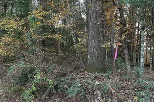 Tbd Gary Ct, Livingston, TX 77351 - Photo 1