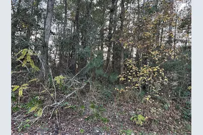 Tbd Gary Court, Livingston, TX 77351 - Photo 9