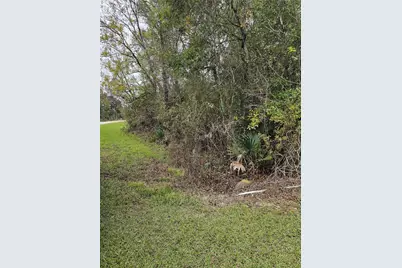 1070 County Road 136 / Live Oak, Van Vleck, TX 77482 - Photo 3