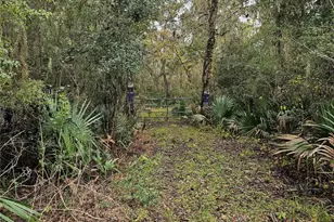 1070 County Road 136 / Live Oak, Van Vleck, TX 77482 - Photo 1