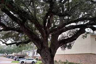 14515 Wunderlich Dr, Houston, TX 77069 - Photo 37