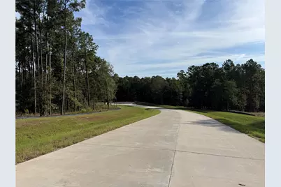 99 Pine Timber Dr, Willis, TX 77378 - Photo 5