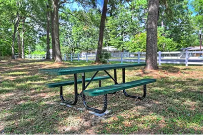 9751 Black Gum, Willis, TX 77318 - Photo 47