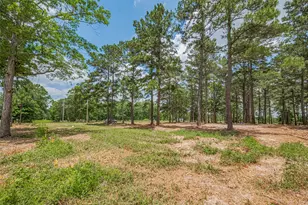 13907 Willis Waukegan Rd, Conroe, TX 77303 - Photo 11