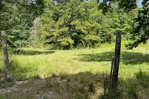 0 Jenkins Road N, Oakhurst, TX 77359 - Photo 1